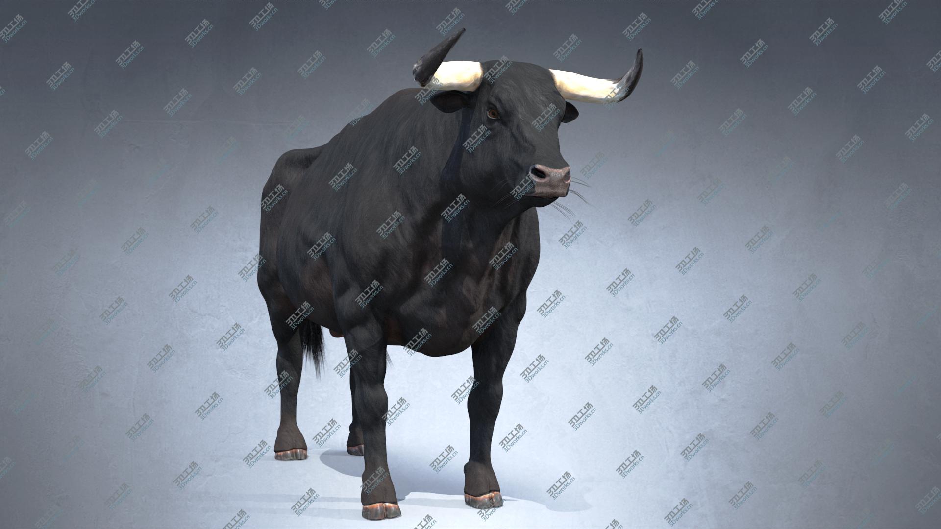 images/goods_img/20210319/Bull PBR(1) model/2.jpg